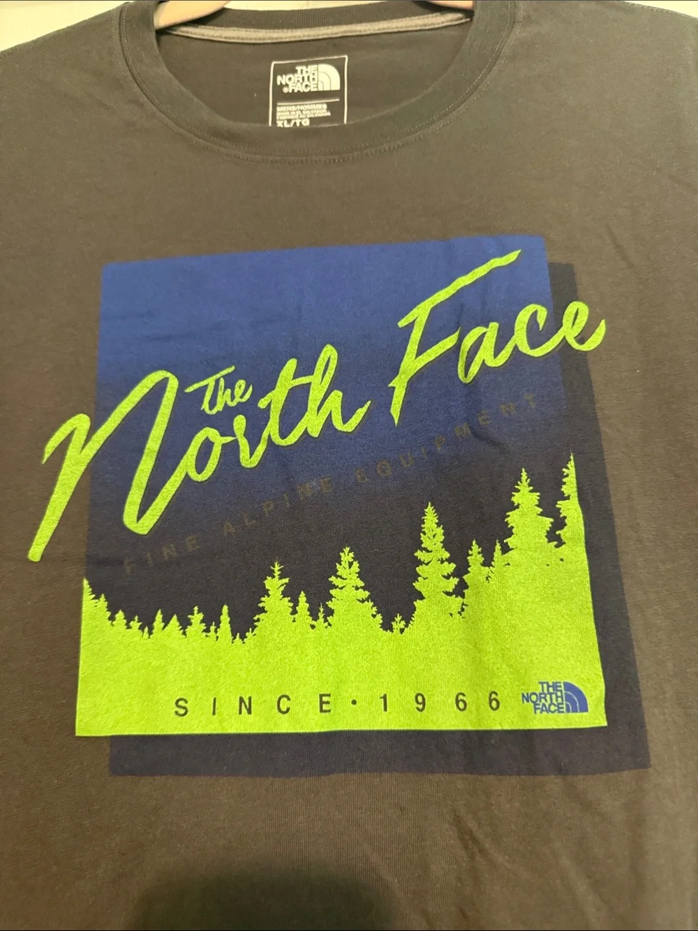 The North Face Charcoal Gray Tee with Blue & Neon Green Graphic